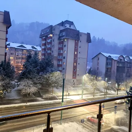 Relaxing & Cozy, Forest View Apartment, Free Parking * Brašov