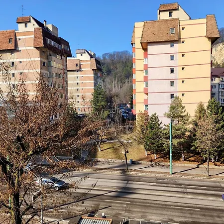 Relaxing & Cozy, Forest View Apartment, Free Parking Braşov